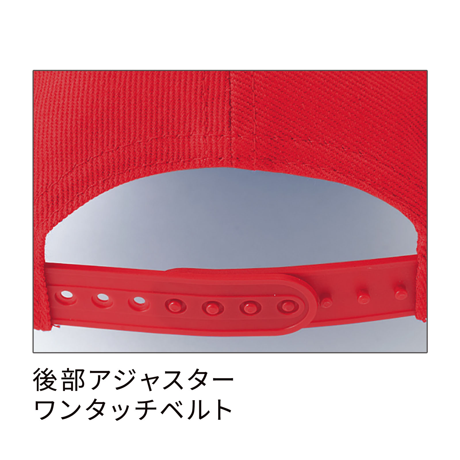  紹介画像