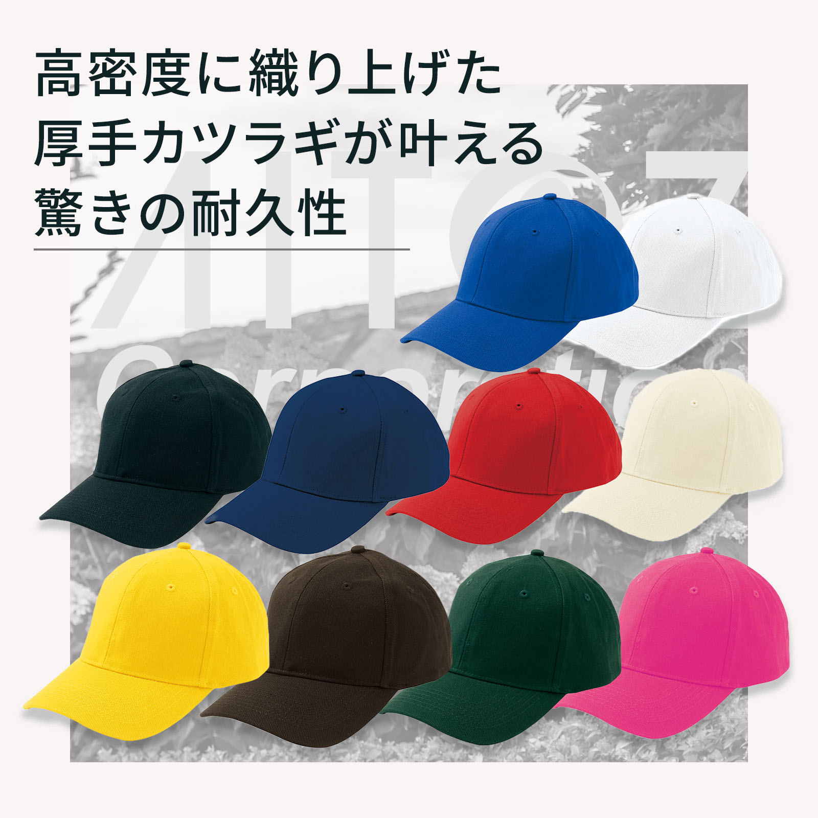  紹介画像