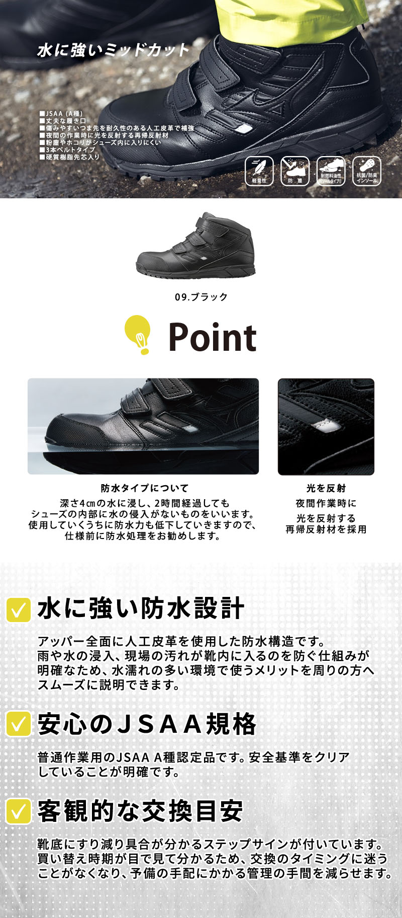  紹介画像