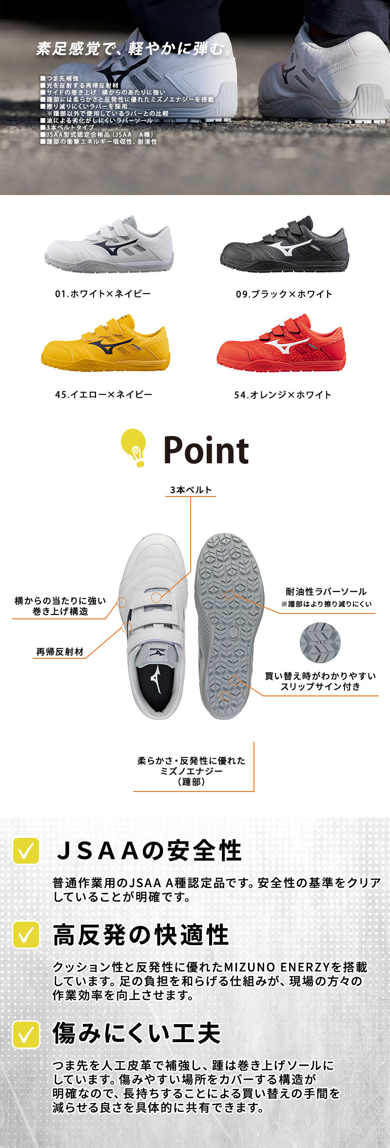 紹介画像