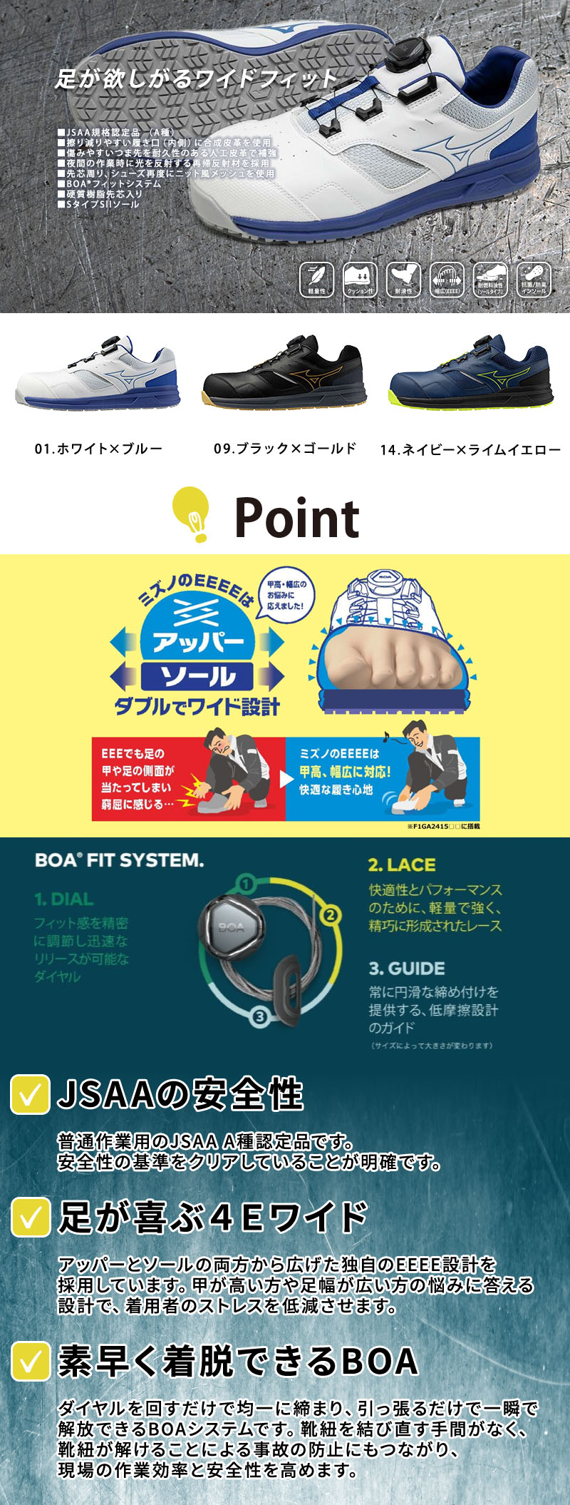  紹介画像