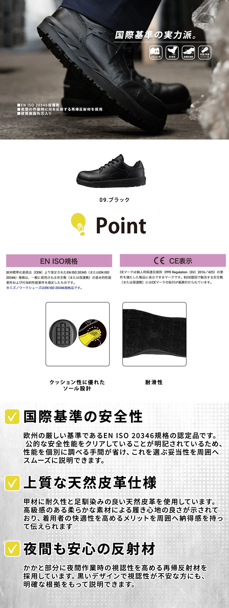  紹介画像
