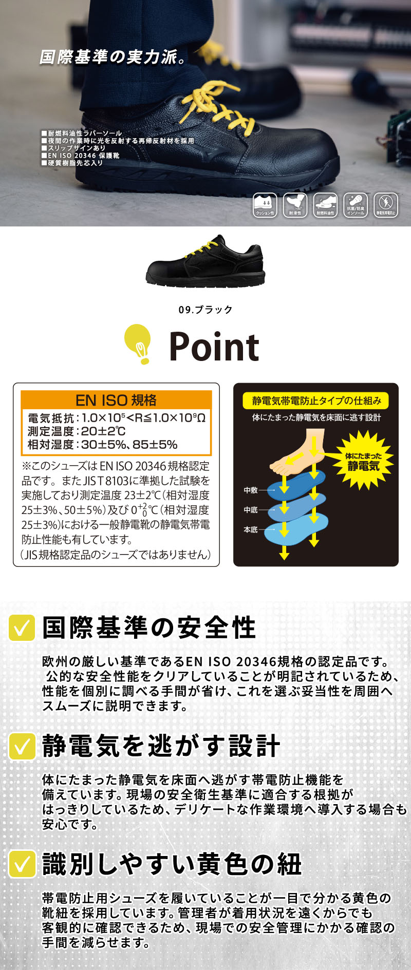  紹介画像