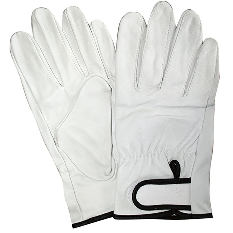 350 豚クレストマジック