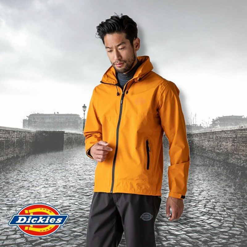 Dickies ビニール合羽 L - ウエア